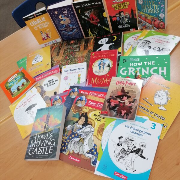 Bunte Auswahl an Kinder- und Jugendbüchern auf einem Tisch, darunter Titel wie "Charlie und die Schokoladenfabrik", "Die kleine Hexe", "Sherlock Holmes", "Der kleine Prinz" und "Howl's Moving Castle". Ideal für Leseratten und Buchliebhaber.
